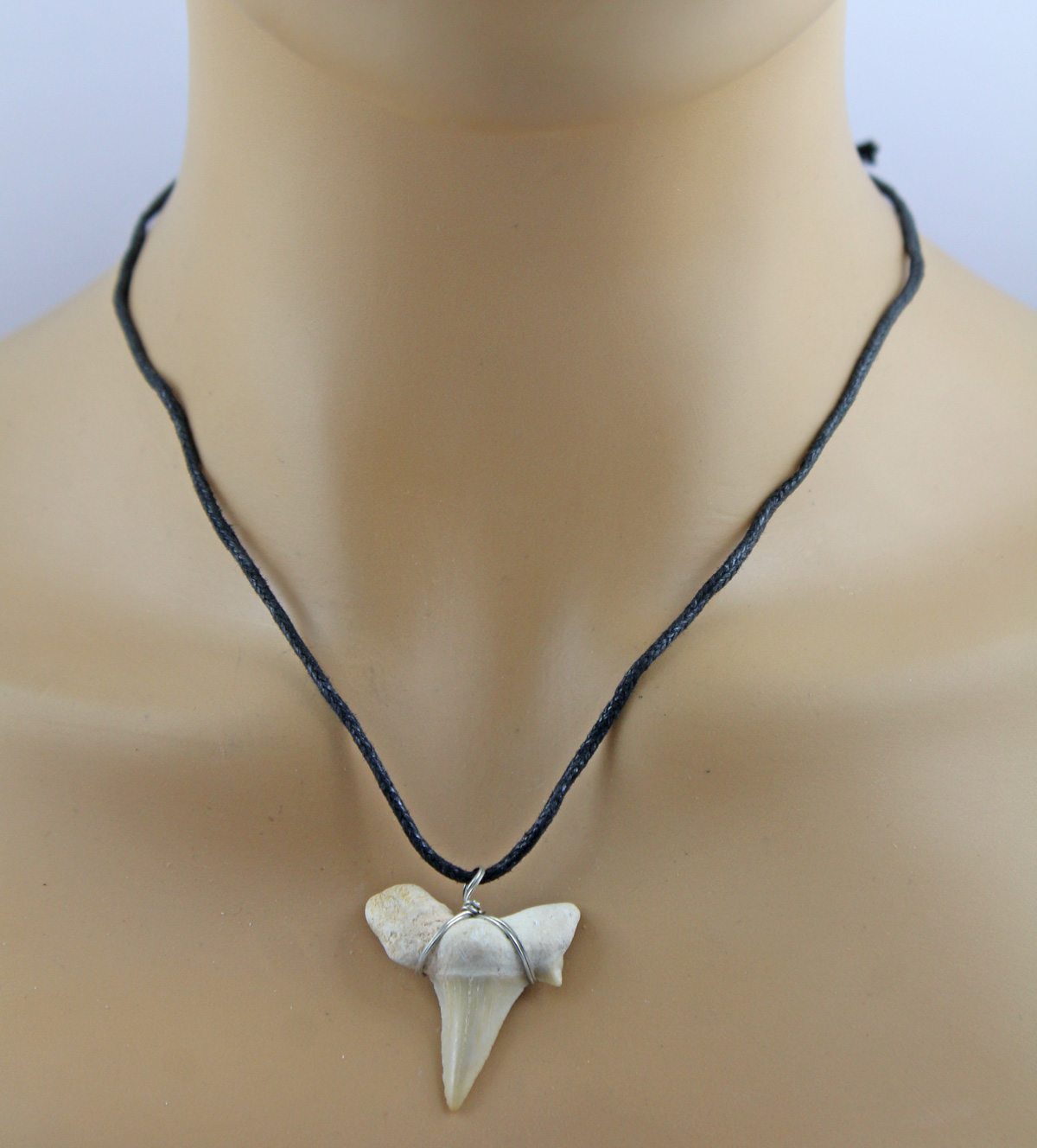 Black choker natural shark tooth pendant 60