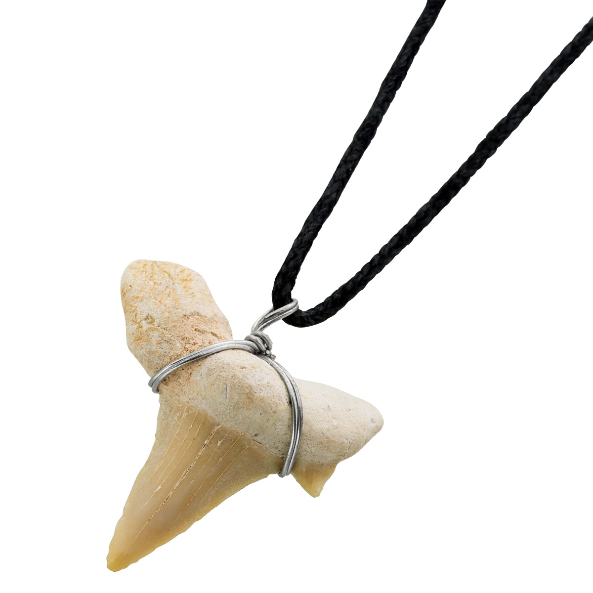 Black choker natural shark tooth pendant 60