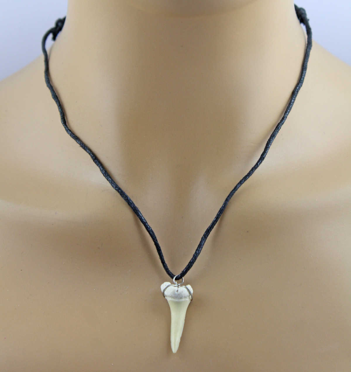 Black choker natural shark tooth 60