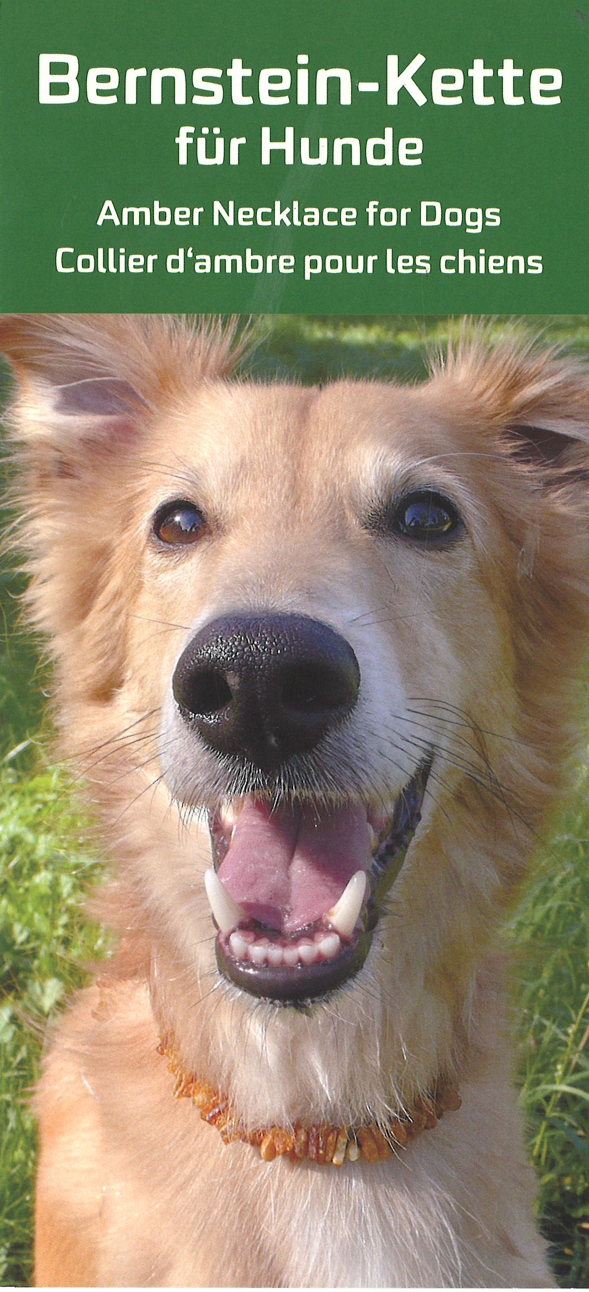 Dog Collar Baltic Amber 32-50cm